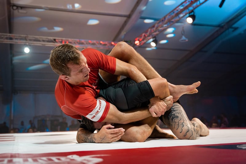 Jiu-Jitsu Fight